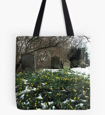 St, mary's church , church houses, Farndale today 07/04/08 Tote Bag