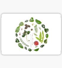 Plants Leaves Berries Sticker