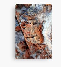 Chiseled Canvas Print