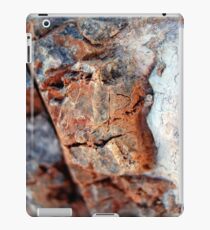 Chiseled iPad Case/Skin