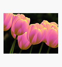 HAPPY FAMILY Photographic Print