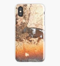 Horse Play iPhone Case