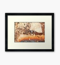 Horse Play Framed Print