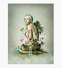 Nature Photographic Print