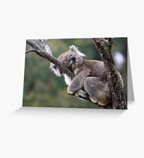 Hug-a-Tree Day Greeting Card