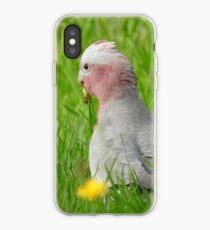 Galah iPhone Case