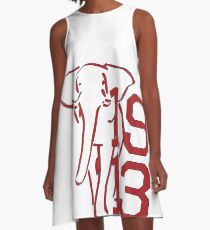 Varsity 1913 by HeavenNezCree A-Line Dress