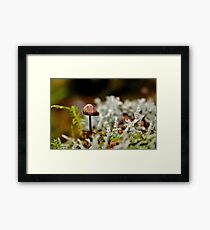 Stand-up Guy Framed Print