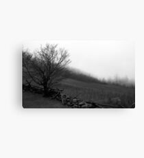 The Fog Canvas Print