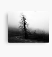 Proceed If You Dare Canvas Print