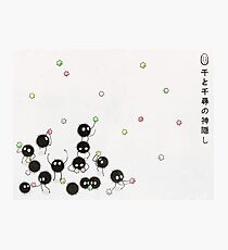 Susuwatari Photographic Print