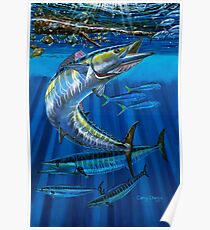 Wahoo Haven Poster