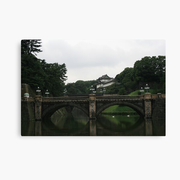 Swan Bridge Canvas Print