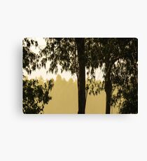 Gold and Black Canvas Print
