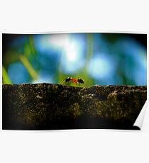 Small Life ... Big World Poster