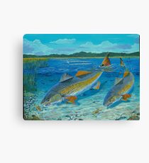 Redfish Creek Canvas Print