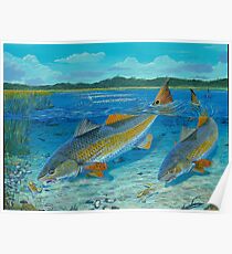Redfish Creek Poster