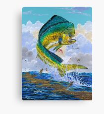 Lienzo Mahi Hook Up
