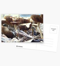 Fungi IV Postcards