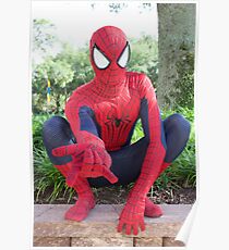 Spiderman Poster