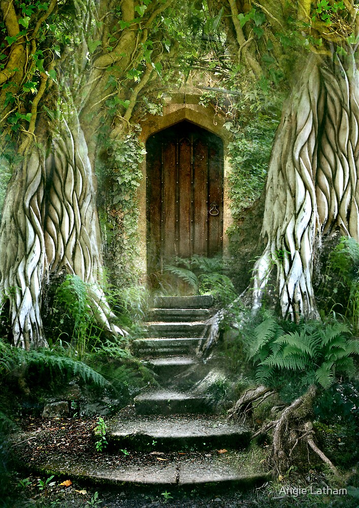 "The Secret Door" by Angie Latham | Redbubble