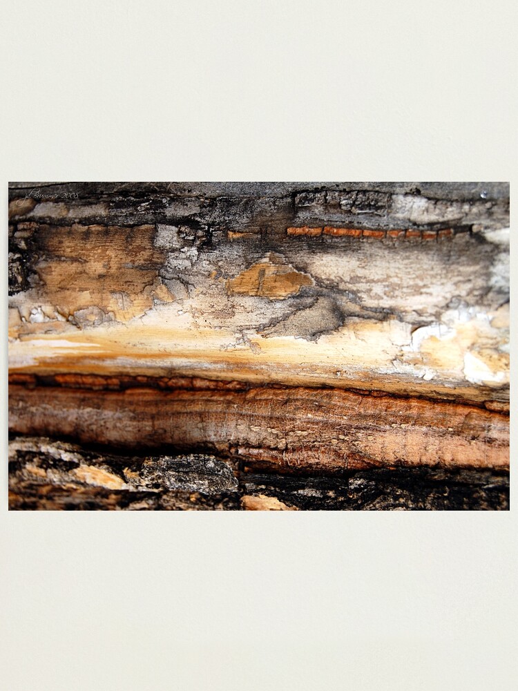 Alternate view of Distant Horizon Photographic Print