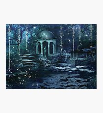 The Midnight Garden Photographic Print