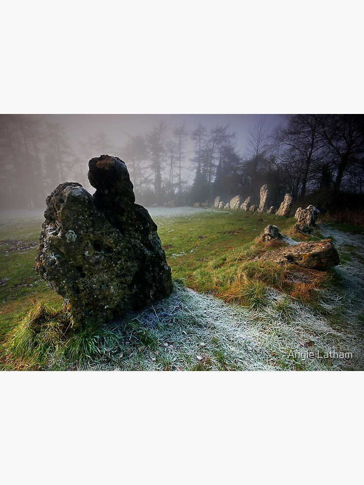 the Rollright Stones by AngelaBarnett