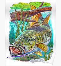 Largemouth Bass Poster