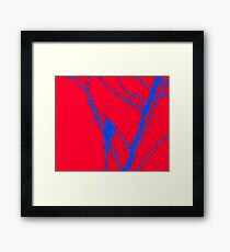 Bird 19 Framed Print
