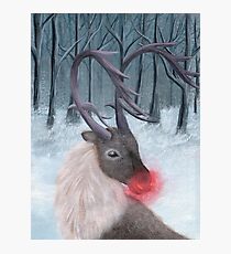 Realistic Rudolph Reindeer Acrylic Christmas Painting Photographic Print