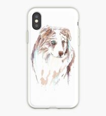 Australischer Hirte iPhone-Hülle & Cover
