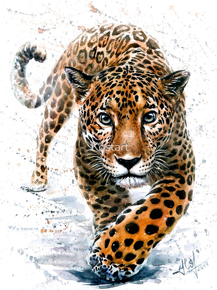 quot jaguar leopard animals predator watercolor quot jaguar leopard animals predator watercolor