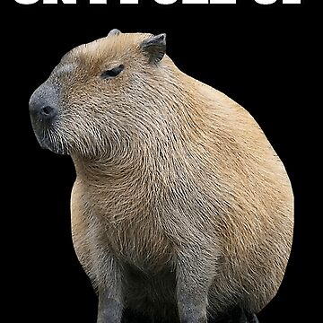 capybara - Roblox