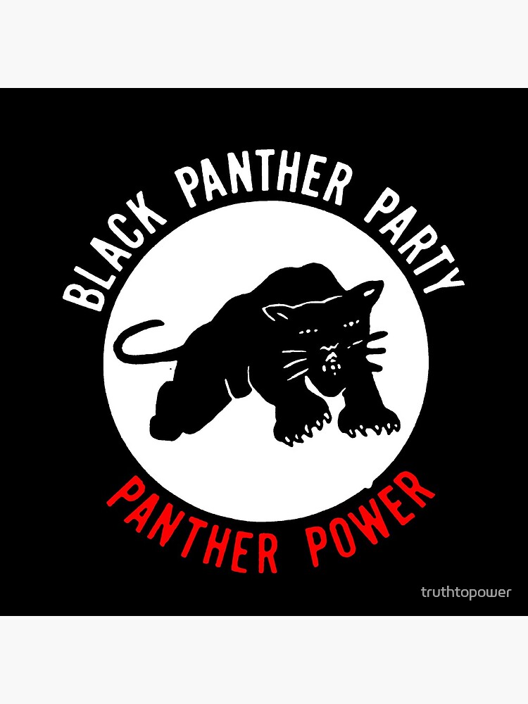 THE BLACK PANTHER PARTY by truthtopower