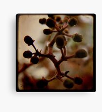 Autumnal Canvas Print