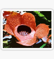 Borneo Rafflesia Sticker