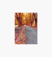Autumn, Fitzroy Gardens Art Board