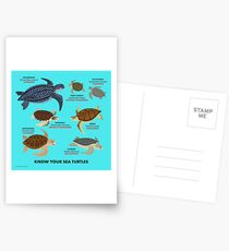 Postales Conozca a sus tortugas marinas