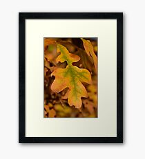 Autumn Born Framed Print