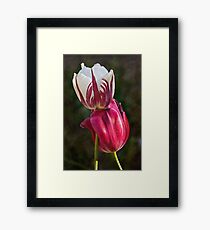 Lean on me Framed Print