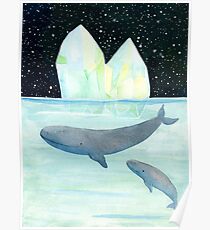 Cool whales on Antarctica Poster