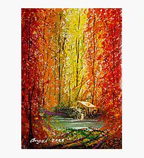 Autumn Photographic Print