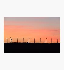 fence Photographic Print