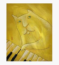C major Photographic Print