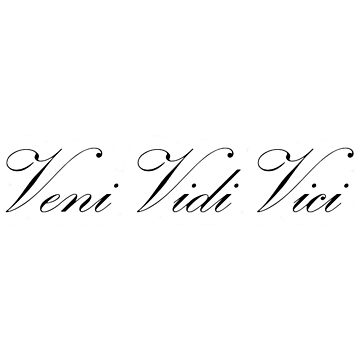 Tattoo uploaded by Vladimir Kovalski  Lettering veni vidi vici  Tattoodo