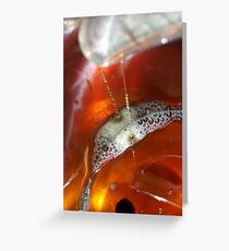 Drops of Maple Greeting Card