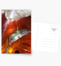 Drops of Maple Postcards