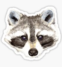 Raccoon Face Sticker