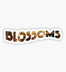 Blossoms Band Album Sticker